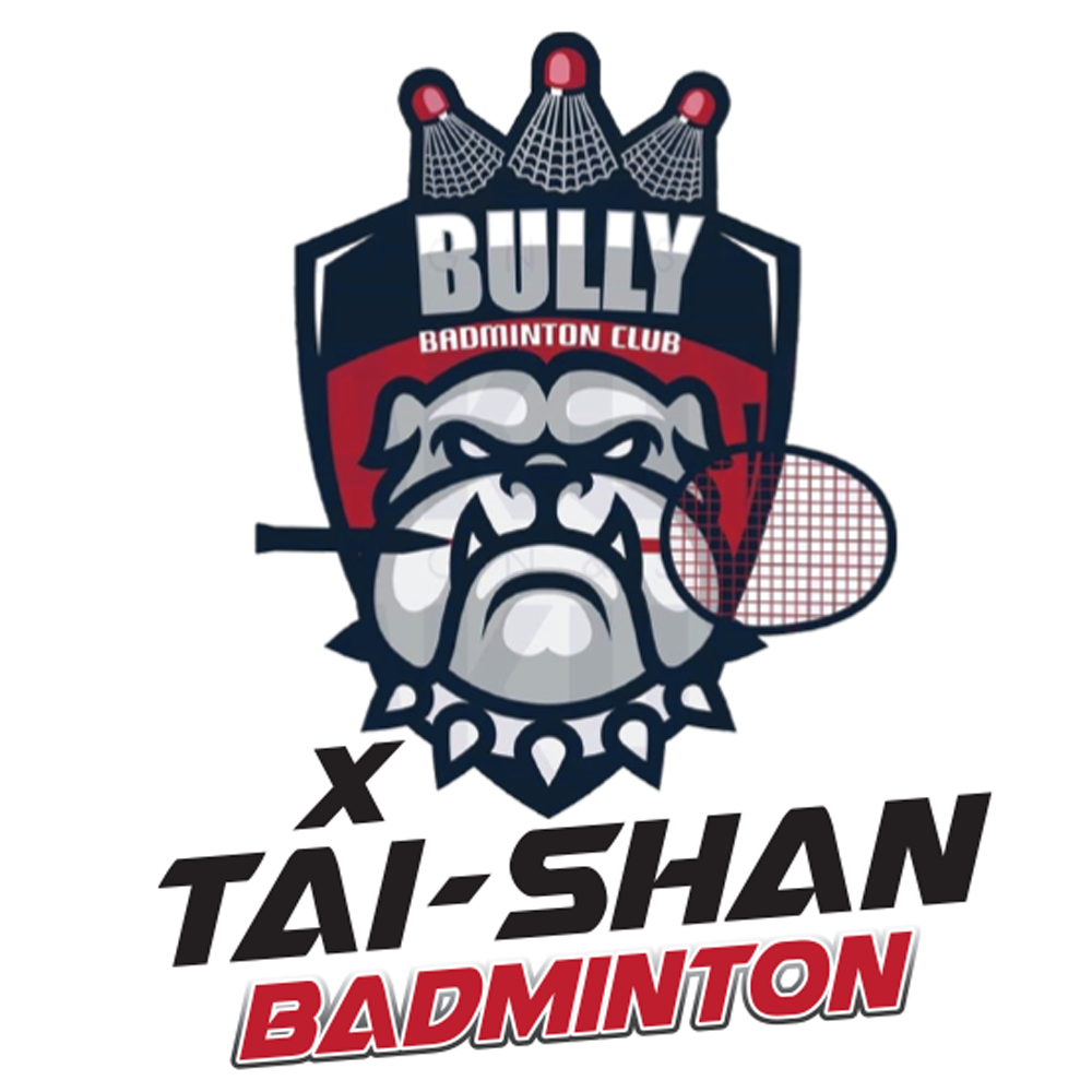 Image for Bully Badminton